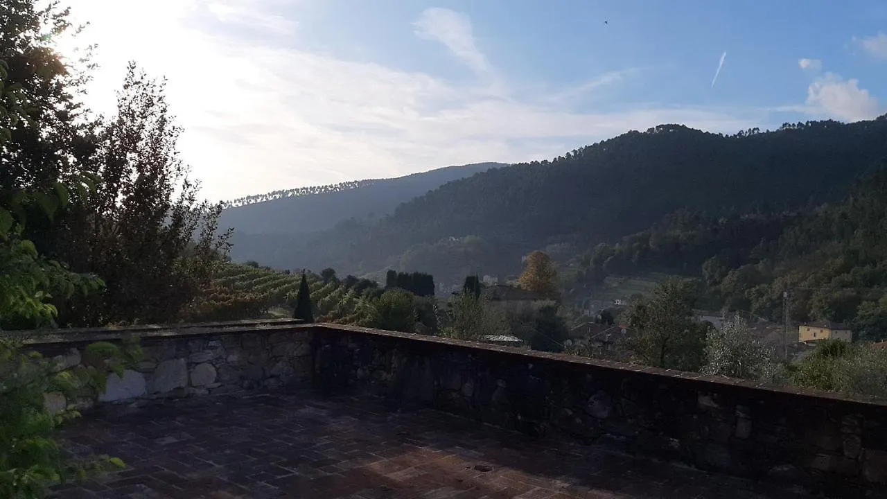 Farm stay Agriturismo Alle Camelie Villa Capannori Italy