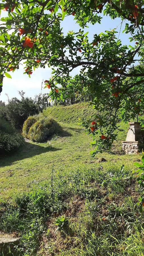 Agriturismo Alle Camelie Villa Capannori Farm stay