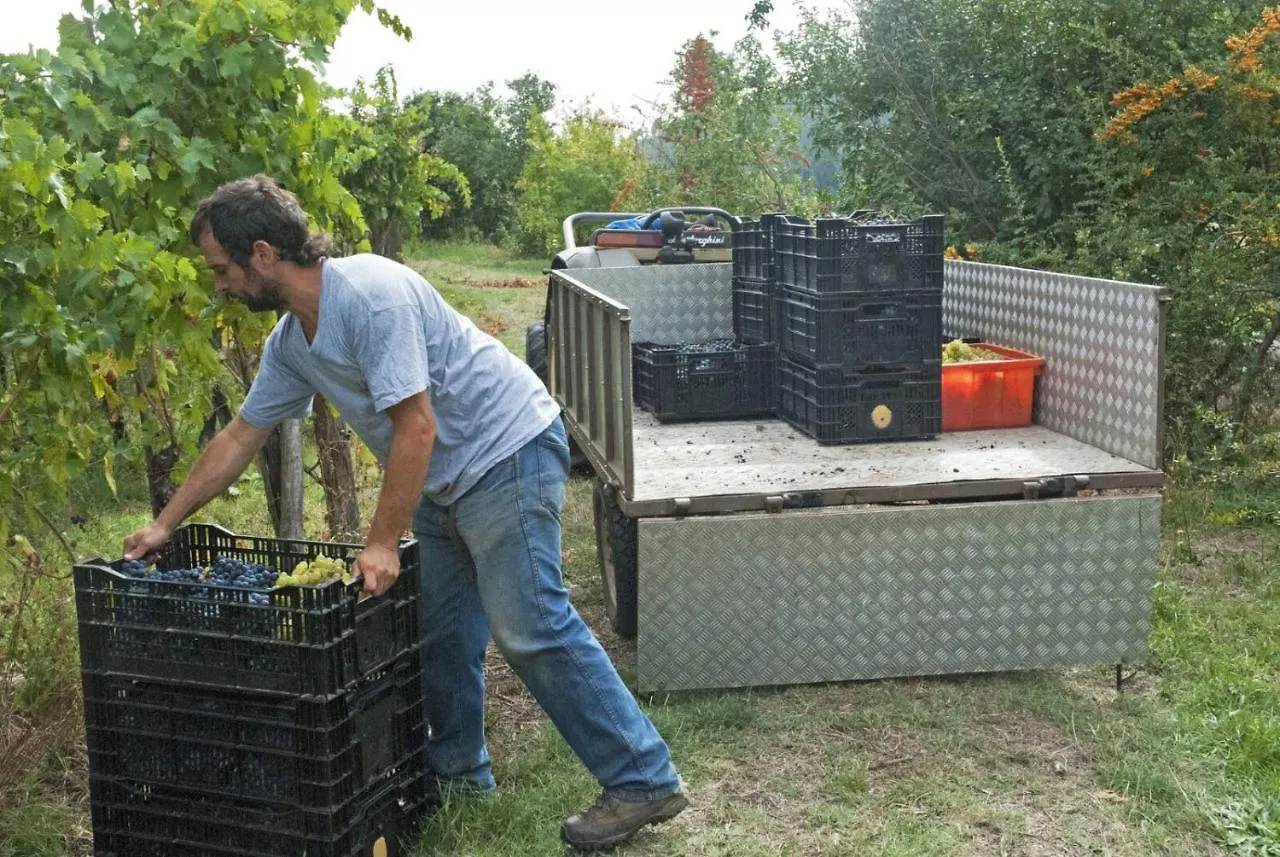Farm stay Agriturismo Alle Camelie Villa Capannori